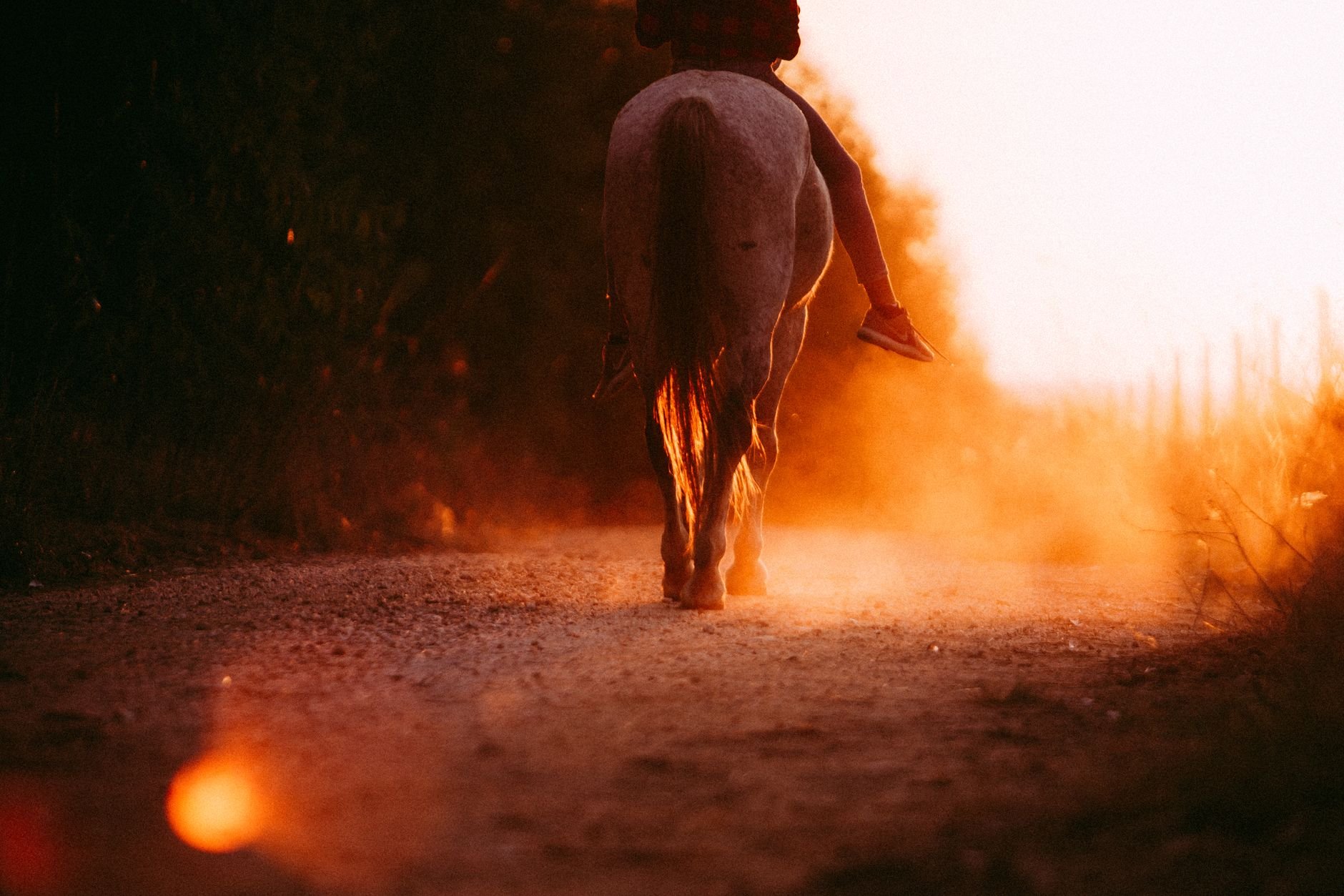 A rider on horseback traverses a dusty trail bathed in warm sunset light